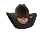 Chapéu Country Americano - Imagem 20