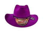 Chapéu Gustavo II - Imagem 16